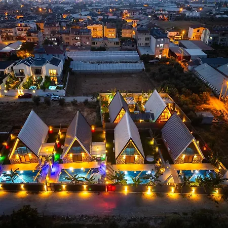 فيلة Ada